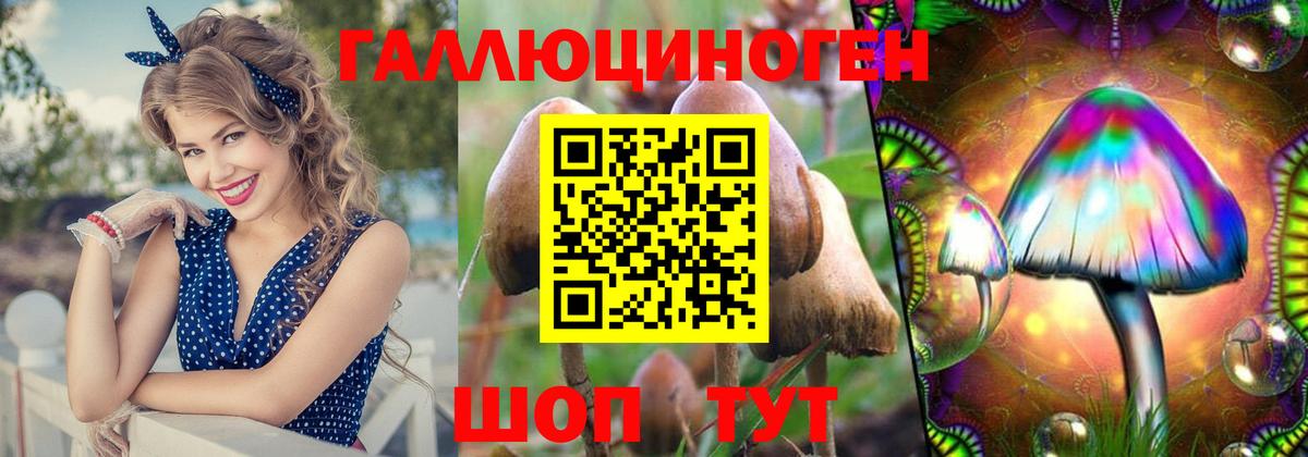 Ликино-Дулёво  Галлюциногенные грибы мухоморы  Вход с VPN 